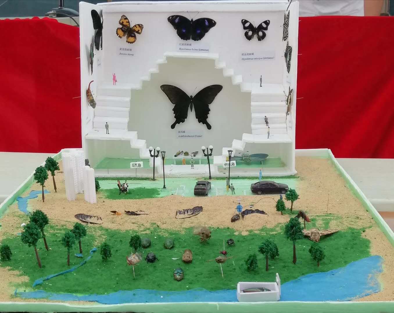 1562575481789374.jpg 昆虫微景观制作一等奖作品《审判》.jpg