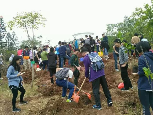 1489542575106232.jpg 1489542575106232.jpg