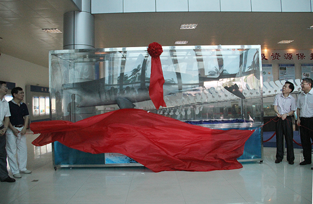 1496966312687174.jpg IMG_22521.jpg