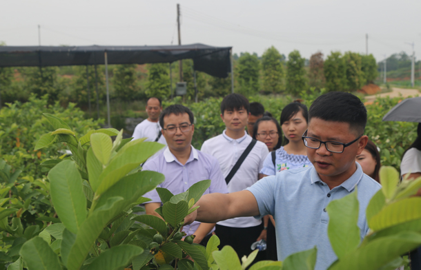 1496236834828404.jpg 研究生社会实践-1.jpg