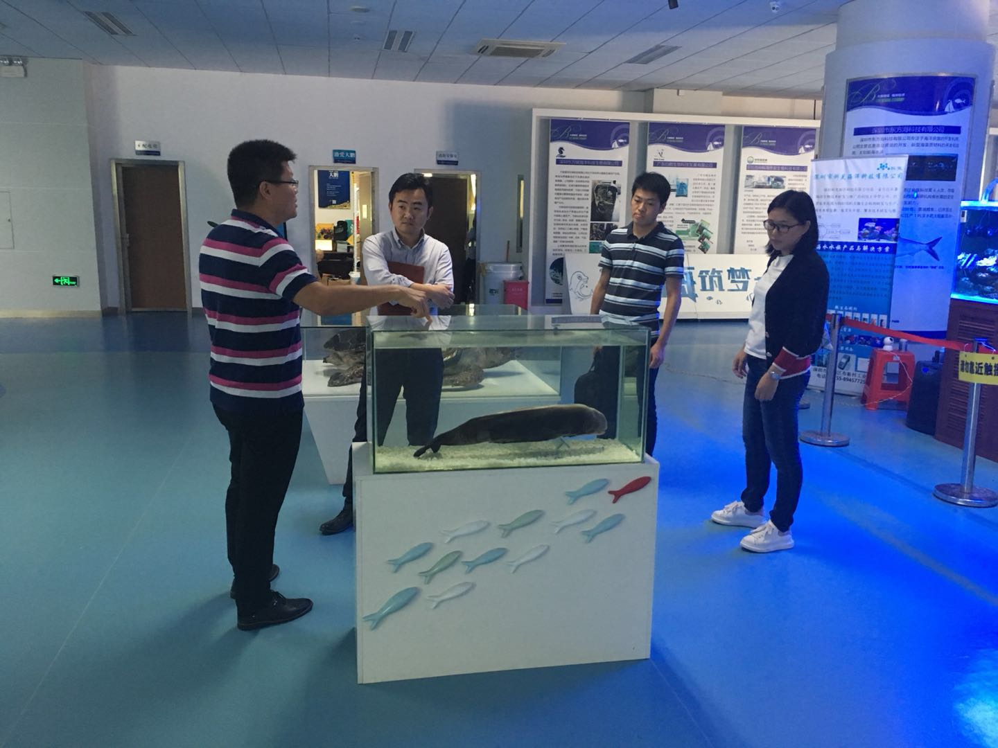 1539483628902591.jpg 1539483628902591.jpg