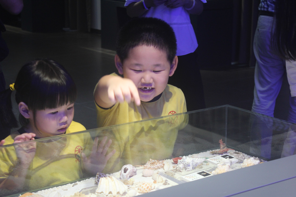 1498702294341242.jpg 1498702294341242.jpg