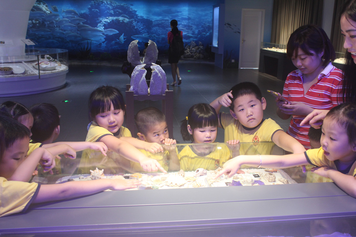 1498702293775389.jpg 1498702293775389.jpg