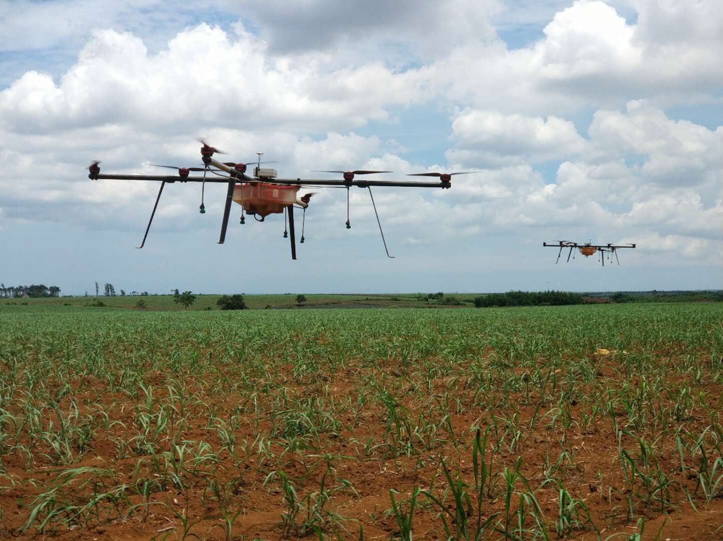 1525675829798885.jpg 1525675829798885.jpg