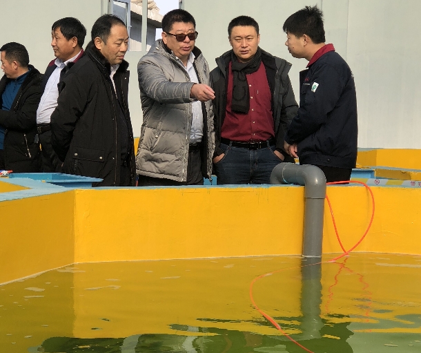 1546071792844885.jpg 1546053669112807.jpg