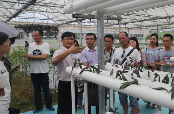 1496236808707872.jpg 研究生社会实践-0.jpg