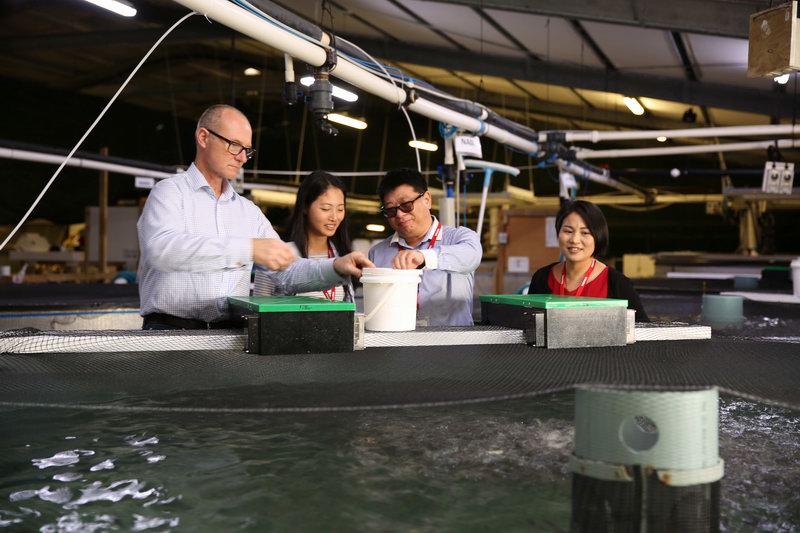 1462782969112979.jpg 1462782969112979.jpg